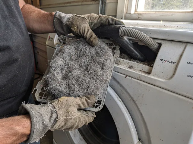 Cleaning Dryer Lint Trap in St. Petersburg